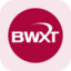 BWX Technologies rStock