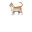 Cat Emoji