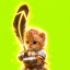 Cat wif hood