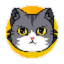 CatCoin Token