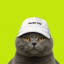 Catwifcap