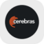 Cerebras Systems rStock
