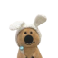 Coby