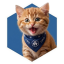 CROCAT