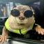 Degen the Otter