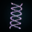 DNA
