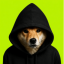 Dog In Hood