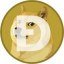 DOGE on Solana