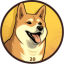 Dogecoin20