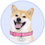 DogeGF