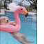 Doginpool