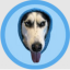 DOGWIFHOOD