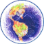 Dream Machine Token