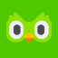 Duolingo, Inc. (Coinbase Tokenized Stock)