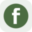 Fabrinet rStock