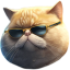 FAT CAT