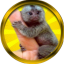 Finger Monkey