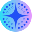 Flagship by Virtuals