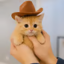 Fred the kitty