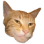 Giga Cat