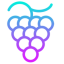 Grape Protocol