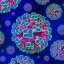 Hantavirus