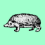 Hedgehood
