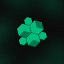 Hive Protocol