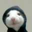 Hood rat