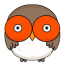 HOOT Solana