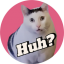Huh cat