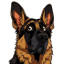 Hund