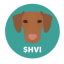Hungarian Vizsla Inu