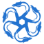 Hydra
