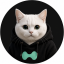 Hypercat