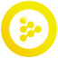IExec RLC