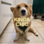Kinda Chic