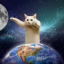 Longcat