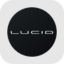 Lucid Group rStock