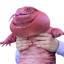 MAGAIBA