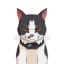 Maxwell