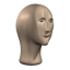 Meme Man