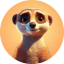 Memeerkat
