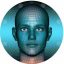 Metaverse Face