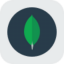 MongoDB rStock