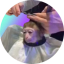Monkeyhaircut
