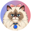 Mrs Miggles