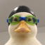 Nasduck