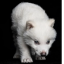 New Ancient DNA Cloned Wolf