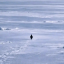 Nietzschean Penguin